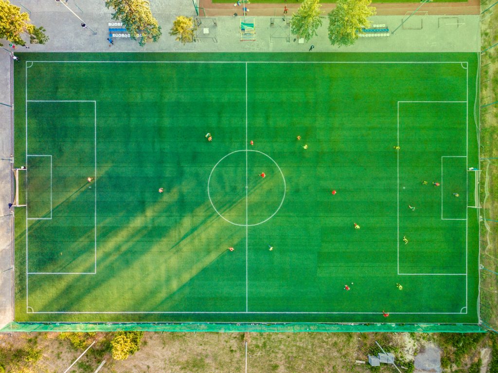 pitch birds eye