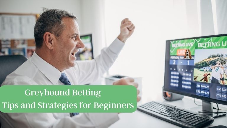 Greyhound Betting - Tips and Strategies for Beginners