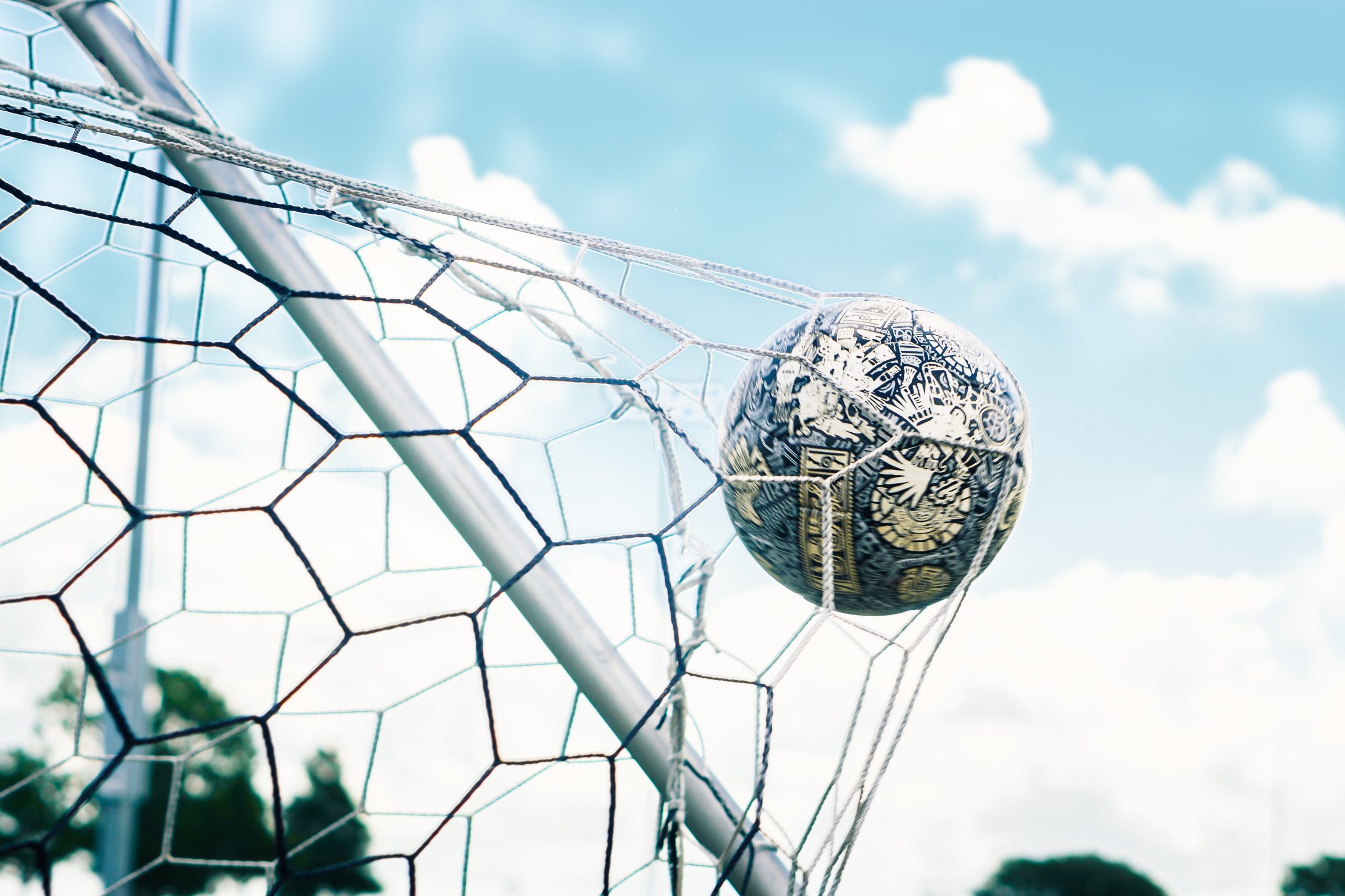 Soccer ball in the net 