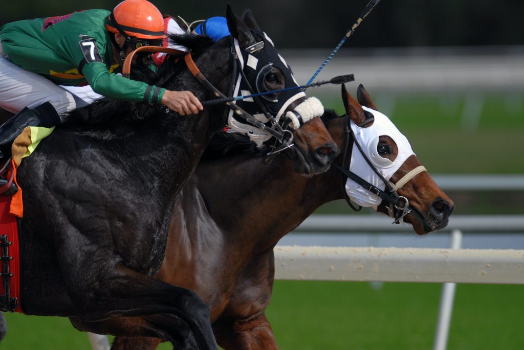 Exploring the Exciting World of Horse Racing Betting: Types of Bets
